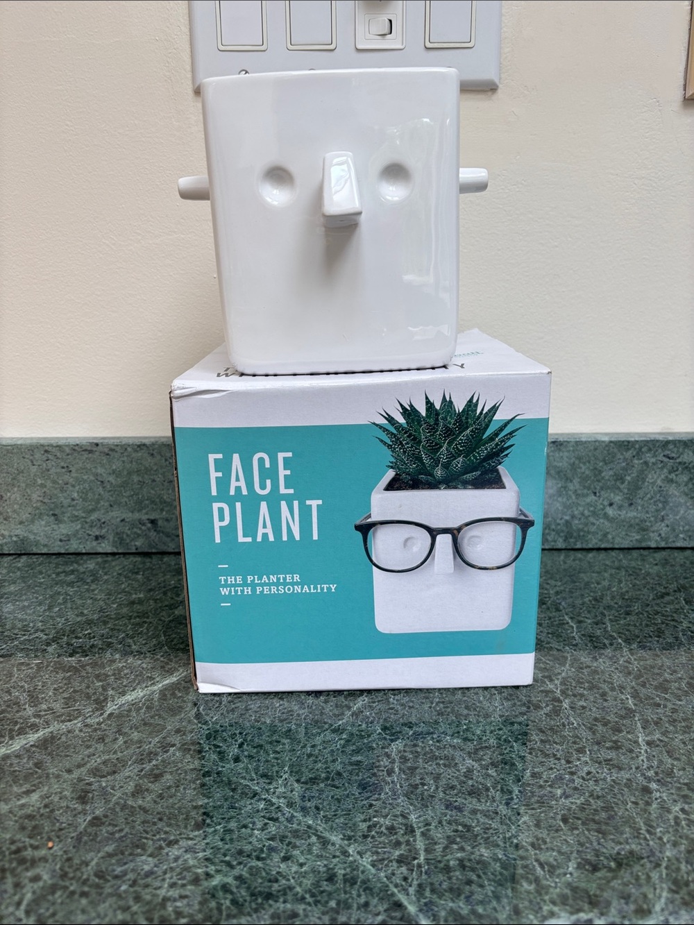 NWT in original box 30 Watt Face Plant Planter